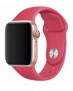 DELUXE SPORT BAND 40: Correa Apple Watch 38/40mm Devia Sport.